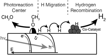 Graphical abstract: Why co-catalyst-loaded rutile facilitates photocatalytic hydrogen evolution