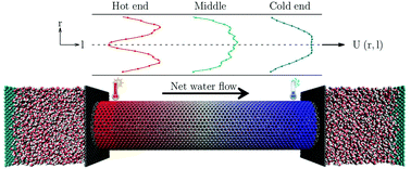 Graphical abstract: Analysing thermophoretic transport of water for designing nanoscale-pumps