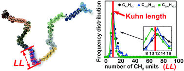 Graphical abstract: Multiscale modeling of charge transfer in polymers with flexible backbones