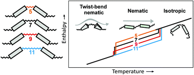 Graphical abstract: Dynamic calorimetry and XRD studies of the nematic and twist-bend nematic phase transitions in a series of dimers with increasing spacer length