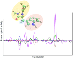 Graphical abstract: Localized molecular orbitals for calculation and analysis of vibrational Raman optical activity
