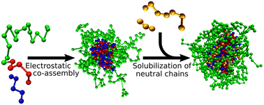 Graphical abstract: Computer study of the solubilization of polymer chains in polyelectrolyte complex cores of polymeric nanoparticles in aqueous media