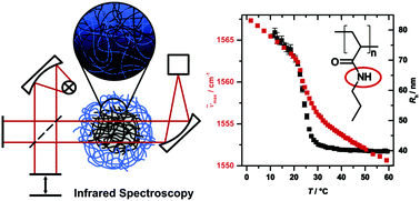 Graphical abstract: Swelling behaviour of core–shell microgels in H2O, analysed by temperature-dependent FTIR spectroscopy