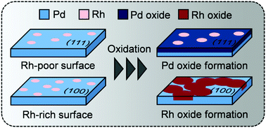 Graphical abstract: Element selective oxidation on Rh–Pd bimetallic alloy surfaces