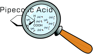 Graphical abstract: Elucidating the multiple structures of pipecolic acid by rotational spectroscopy