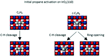Graphical abstract: Adsorption and oxidation of propane and cyclopropane on IrO2(110)