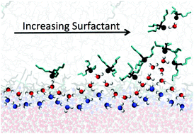Graphical abstract: Surfactant-enhanced heterogeneity of the aqueous interface drives water extraction into organic solvents
