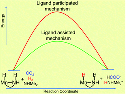 Graphical abstract: A computational study on ligand assisted vs. ligand participation mechanisms for CO2 hydrogenation: importance of bifunctional ligand based catalysts