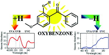 Graphical abstract: Mapping the intrinsic absorption properties and photodegradation pathways of the protonated and deprotonated forms of the sunscreen oxybenzone