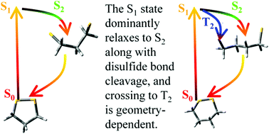 Graphical abstract: Disulfide bond photochemistry: the effects of higher excited states and different molecular geometries on disulfide bond cleavage