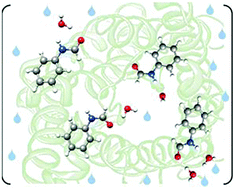 Graphical abstract: The complete conformational panorama of formanilide–water complexes: the role of water as a conformational switch