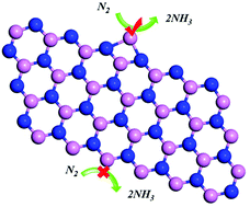 Graphical abstract: A single boron atom doped boron nitride edge as a metal-free catalyst for N2 fixation