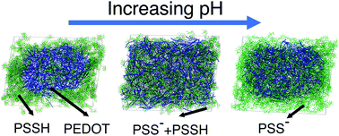 Graphical abstract: Computational microscopy study of the granular structure and pH dependence of PEDOT:PSS