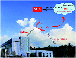 Graphical abstract: Ozonolysis of 3-carene in the atmosphere. Formation mechanism of hydroxyl radical and secondary ozonides