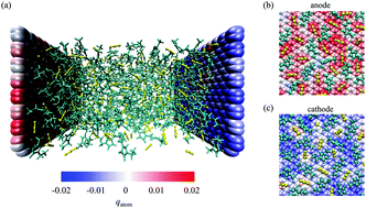 Graphical abstract: Understanding the charging dynamics of an ionic liquid electric double layer capacitor via molecular dynamics simulations