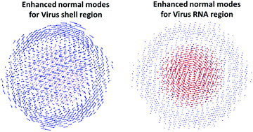 Graphical abstract: A complex multiscale virtual particle model based elastic network model (CMVP-ENM) for the normal mode analysis of biomolecular complexes