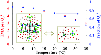Graphical abstract: Monitoring solvent dynamics and ion associations in the formation of cubic octamer polyanion in tetramethylammonium silicate solutions