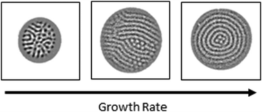 Graphical abstract: Turing patterns on radially growing domains: experiments and simulations