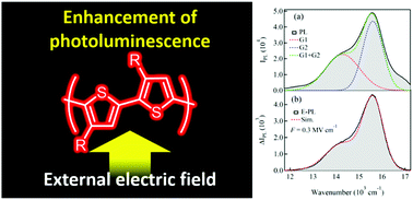 Graphical abstract: Fluorescence enhancement induced by quadratic electric-field effects on singlet exciton dynamics in poly(3-hexylthiophene) dispersed in poly(methyl methacrylate)