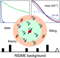 Graphical abstract: Intermolecular background decay in RIDME experiments