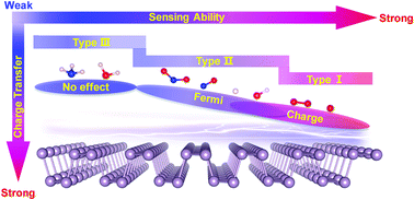 Graphical abstract: Modifying the sensibility of nonmetal-doped phosphorene by local or global properties