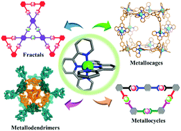 Graphical abstract: Terpyridine-based metallosupramolecular constructs: tailored monomers to precise 2D-motifs and 3D-metallocages