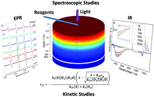 Graphical abstract: Braiding kinetics and spectroscopy in photo-catalysis: the spectro-kinetic approach