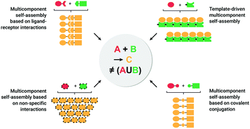 Graphical abstract: Multicomponent self-assembly as a tool to harness new properties from peptides and proteins in material design