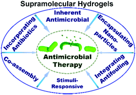 Graphical abstract: Supramolecular hydrogels for antimicrobial therapy