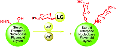 Graphical abstract: Gold-catalyzed glycosylation in the synthesis of complex carbohydrate-containing natural products