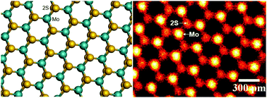 Graphical abstract: Atomic structure of defects and dopants in 2D layered transition metal dichalcogenides