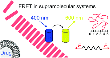 Graphical abstract: Investigating supramolecular systems using Förster resonance energy transfer