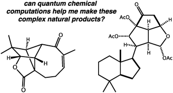 Graphical abstract: Questions in natural products synthesis research that can (and cannot) be answered using computational chemistry