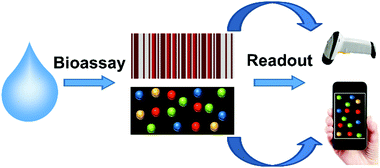Graphical abstract: Barcoded point-of-care bioassays