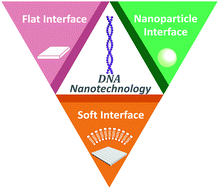 Graphical abstract: Bioapplications of DNA nanotechnology at the solid–liquid interface