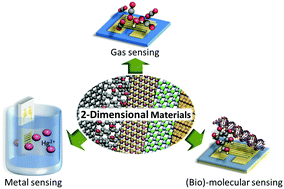 Graphical abstract: Chemical sensing with 2D materials