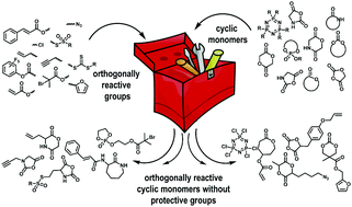 Graphical abstract: Functional biodegradable polymers via ring-opening polymerization of monomers without protective groups