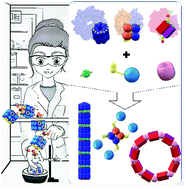 Graphical abstract: Functional protein nanostructures: a chemical toolbox