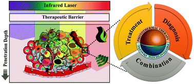 Graphical abstract: Photothermal therapy and photoacoustic imaging via nanotheranostics in fighting cancer