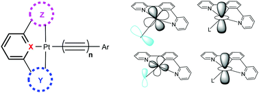 Graphical abstract: Cyclometallated tridentate platinum(ii) arylacetylide complexes: old wine in new bottles