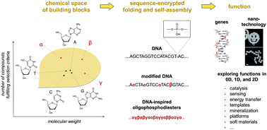 Graphical abstract: DNA-inspired oligomers: from oligophosphates to functional materials
