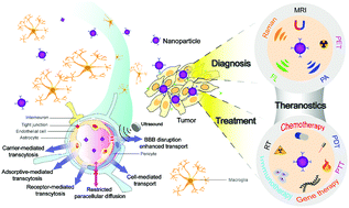 Graphical abstract: Emerging blood–brain-barrier-crossing nanotechnology for brain cancer theranostics