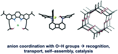 Graphical abstract: Anion coordination chemistry using O–H groups
