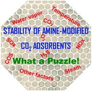Graphical abstract: Stability of amine-functionalized CO2 adsorbents: a multifaceted puzzle