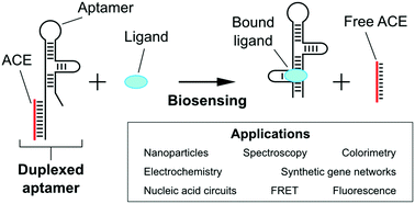 Graphical abstract: Duplexed aptamers: history, design, theory, and application to biosensing