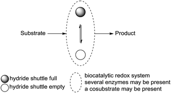 Graphical abstract: Enzymatic self-sufficient hydride transfer processes