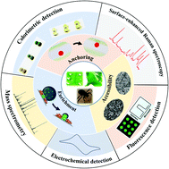 Graphical abstract: Bioinspired superwettable micropatterns for biosensing