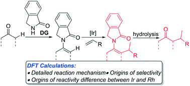 Graphical abstract: Mechanism, selectivity, and reactivity of iridium- and rhodium-catalyzed intermolecular ketone α-alkylation with unactivated olefins via an enamide directing strategy