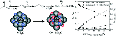 Graphical abstract: Acetic acid hydrodeoxygenation on molybdenum carbide catalysts