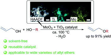 Graphical abstract: Versatile etherification of alcohols with allyl alcohol by a titanium oxide-supported molybdenum oxide catalyst: gradual generation from titanium oxide and molybdenum oxide